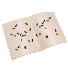 Powerful Sticky Fly paper Fly Killer With Factory Price